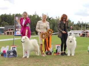 Klubová Výstava Zbraslav   28092024 7